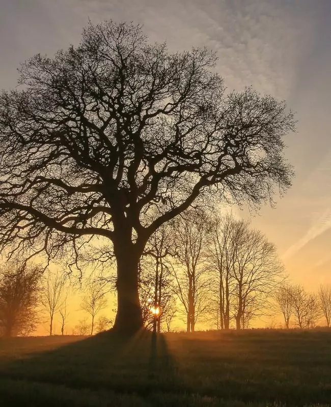 Hypnotherapy-grief-recovery
